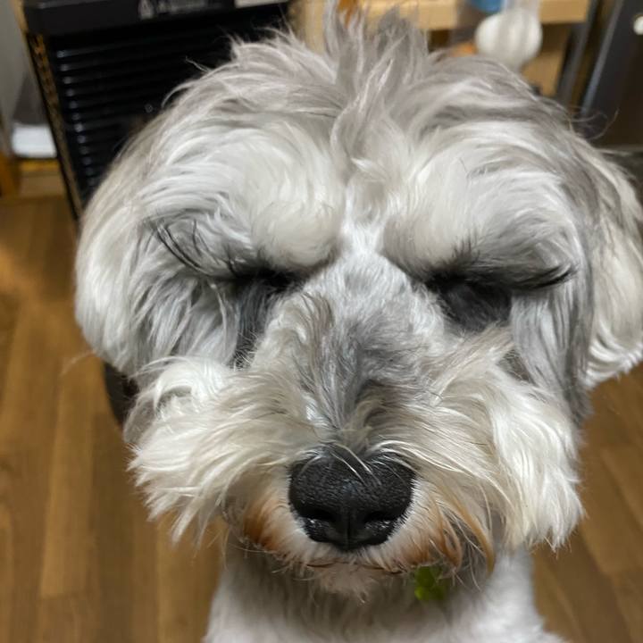 Ca8dc487 efdb 48cc 8c1e fb958fa30bd4 1647797740937