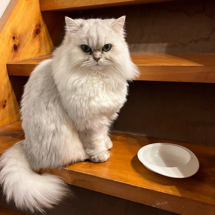 Ca8dd66c 64e5 43d0 b344 3303d7808ae9 1703555016015