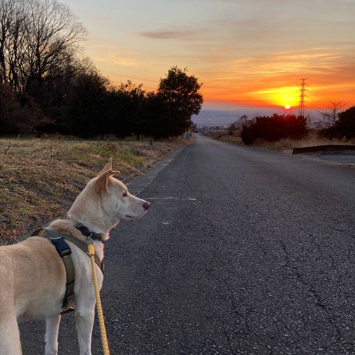 Ca8de301 05be 48b2 b901 9ed1c5b23d02 1609193554045