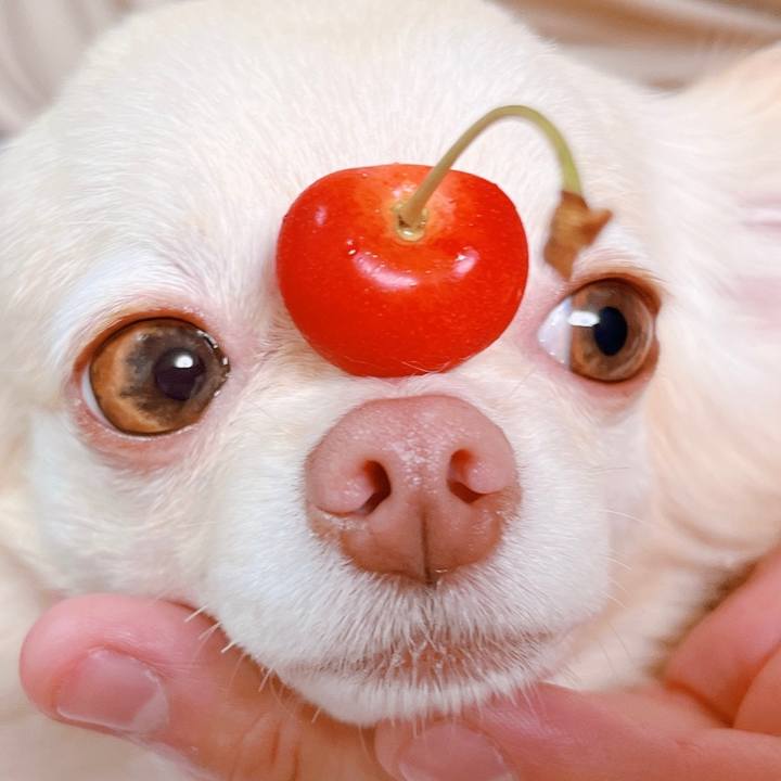 Ca8dfb1a 4875 4dba 9e0f a8a89abbd0f9 1655814092930