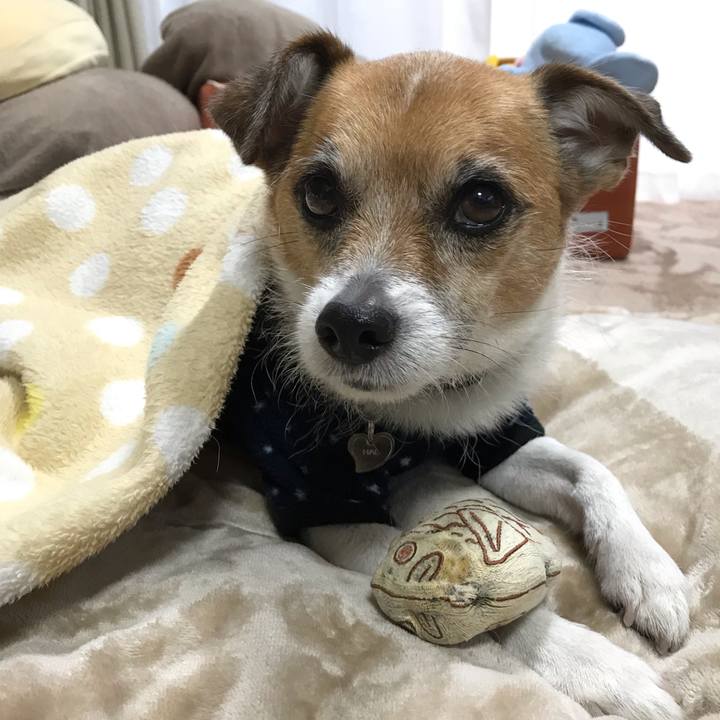 Ca8e3b60 1752 475a b6bd 6a27ac3bbc2e 1543445443219