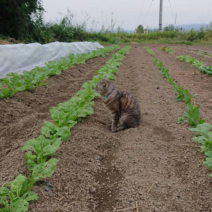 Ca8e4dc5 4e2e 4627 b783 cb9f1be26d56 1569053649661