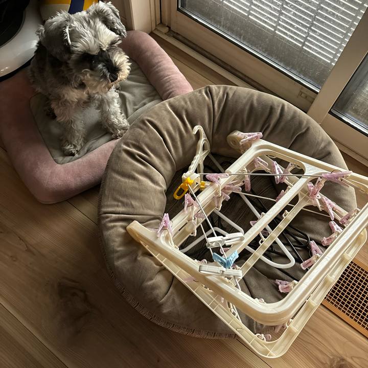 Ca8e8aaa 9a2d 4f78 b157 0a9698eede33 1700963922380