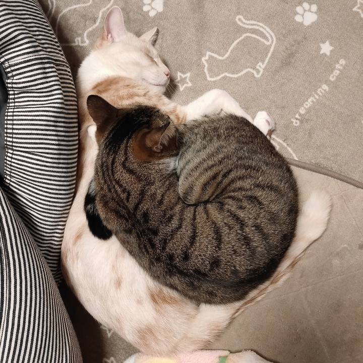 Ca8eacd3 d75f 4660 8b90 5400e2fb0526 1672740268266