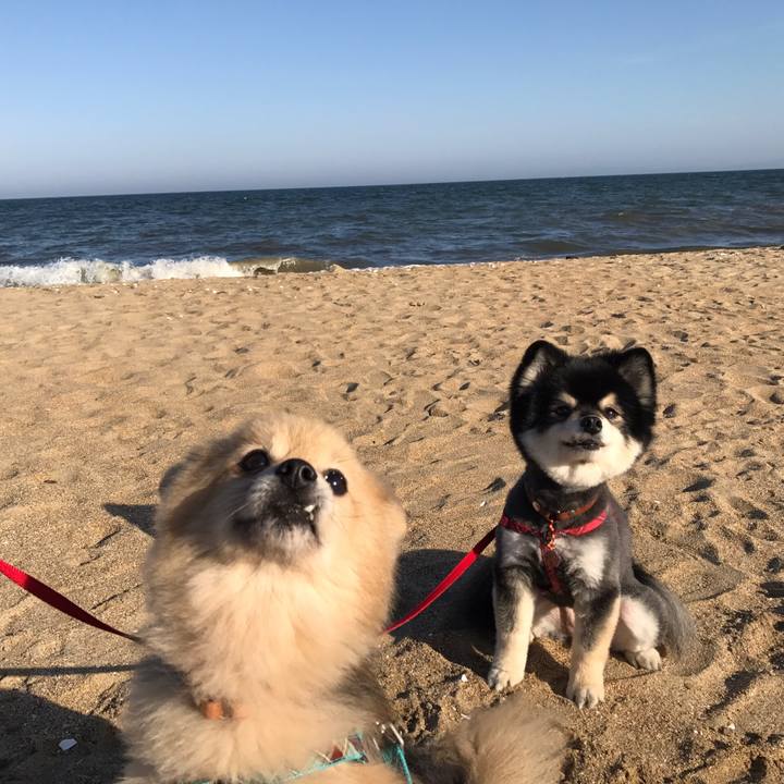 Ca8edae7 4fbb 4ca2 b52c 02d5a60cb43f 1565593347009