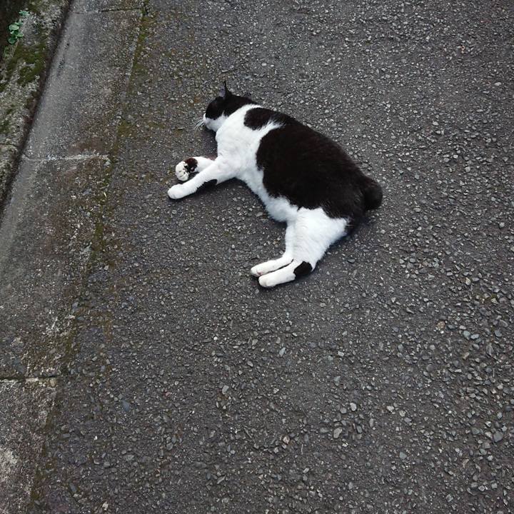 Ca8ee7bc 2662 4be0 927e a43ae4ea83dc 1598437749032