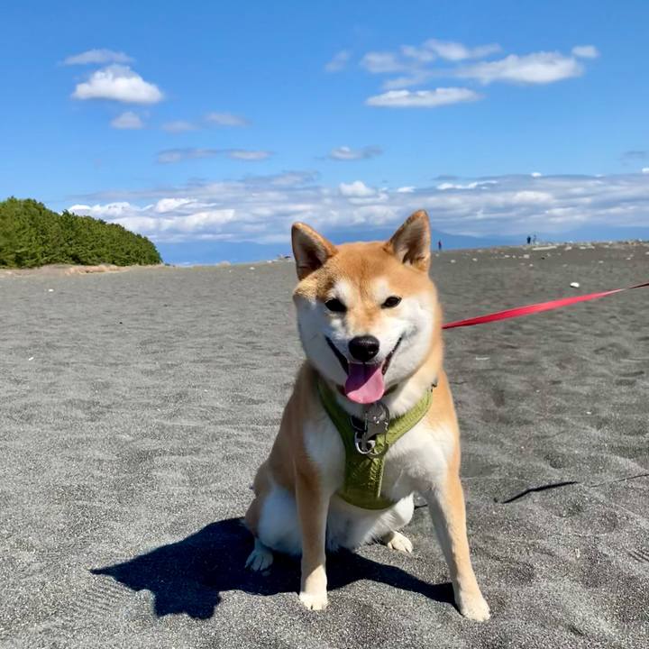 Ca8f075c 4794 4488 8910 a979f2922857 1709519372965