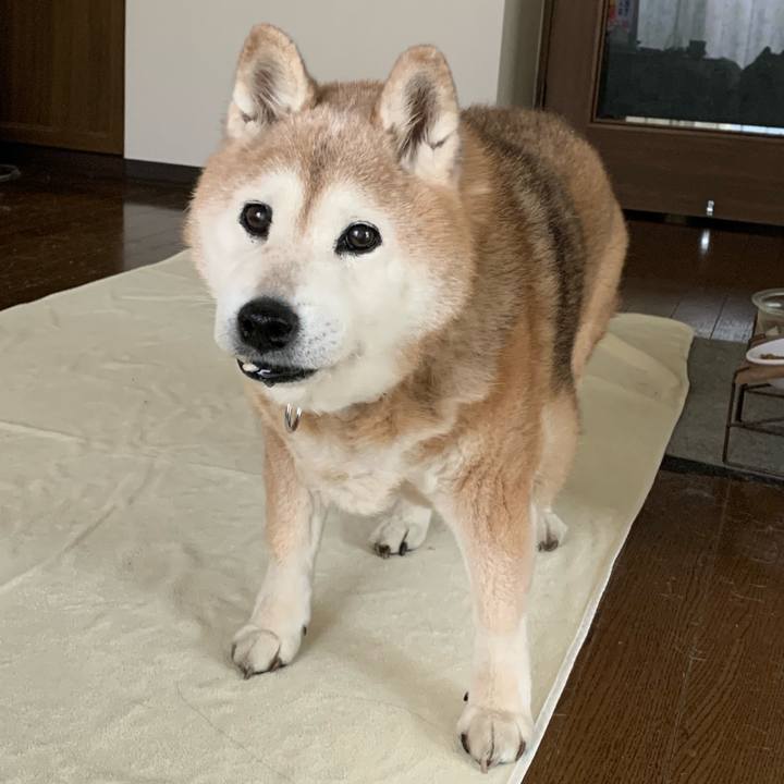 Ca8f0b84 dcfa 414c 973e 0ffd930ea727 1677062287370