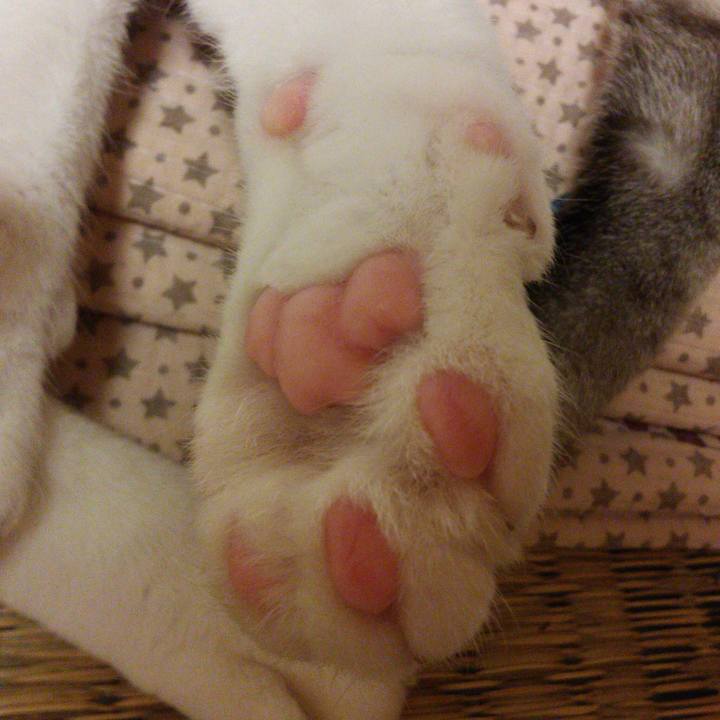 Ca8f206e a915 4a77 98f7 d70599003c6e 1526301624520