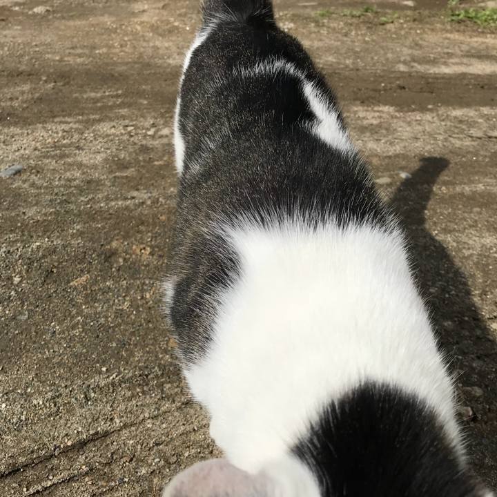 Ca8f59fd b701 4f20 875c b96bb392e77f 1524815344320