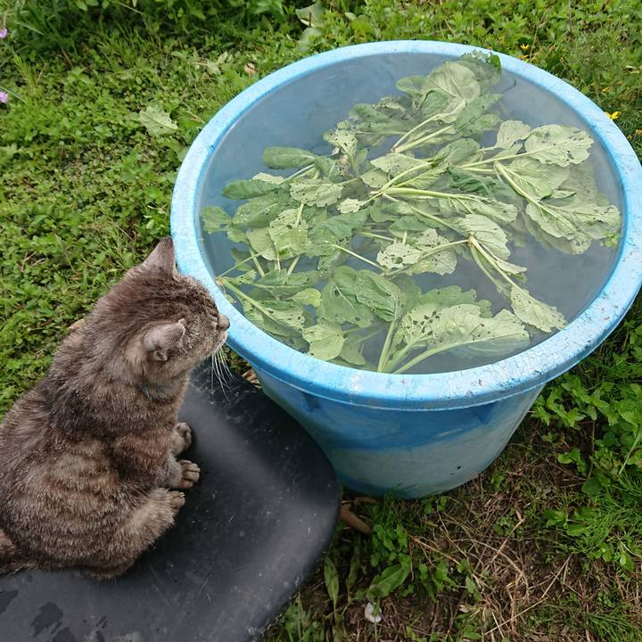 Ca8fcfa7 dc3d 47be 918d 8a62e0e002b5 1569121783337