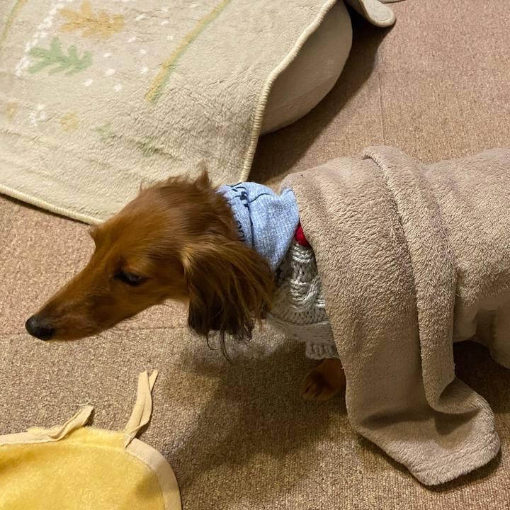 Ca8fd5fb fbca 4397 8837 391115f1ccea 1643237798687