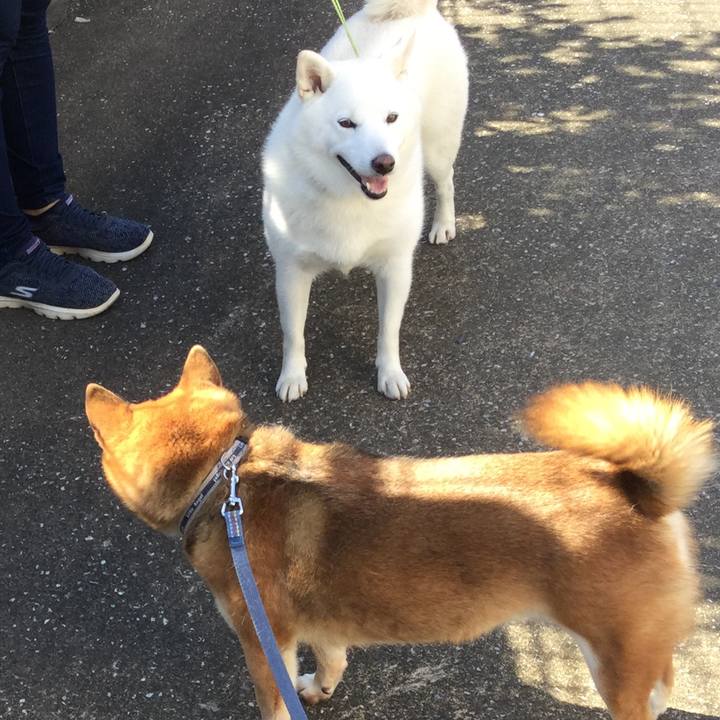 Ca905094 8ae3 4014 921a 71cb142586e2 1573707239342