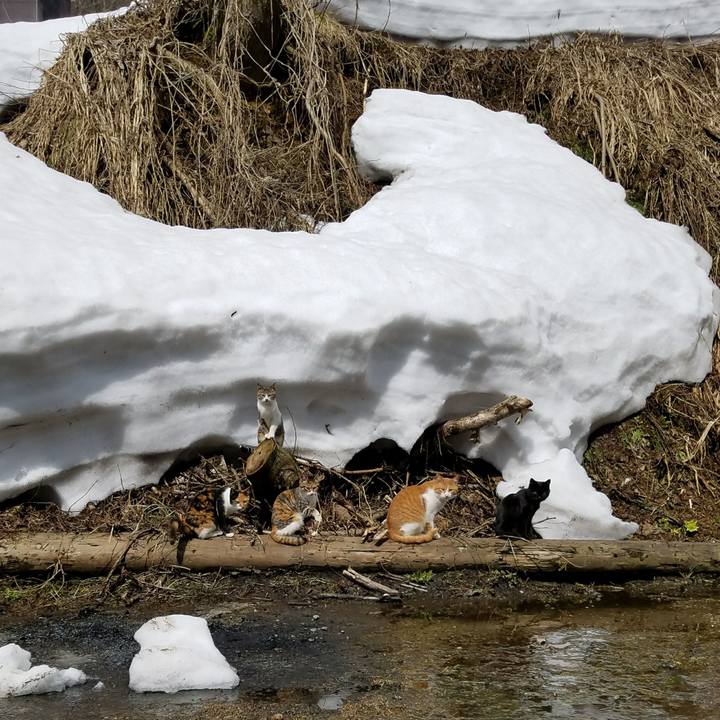 Ca90726b b035 42b2 8738 4f986b80832a 1520823607086