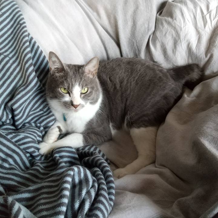 Ca9078a8 10b0 4c0d b9fd 48b5c4849d4c 1644623273756