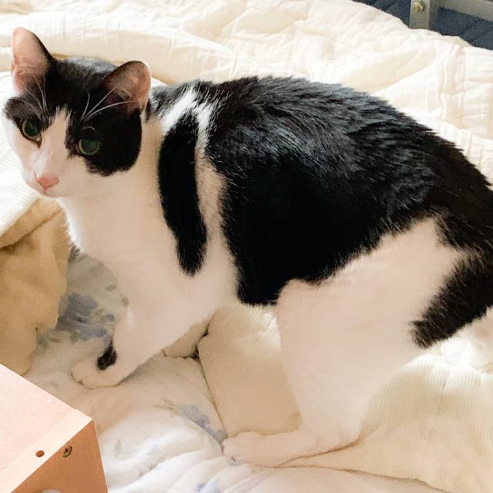 Ca9084b7 80b4 4e23 aebd 98b9e079c013 1574216502952