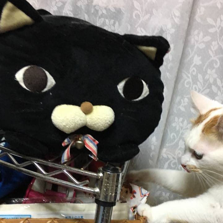 Ca90bb16 f21f 42d4 a4a4 00a0f877ca14 1521386922269