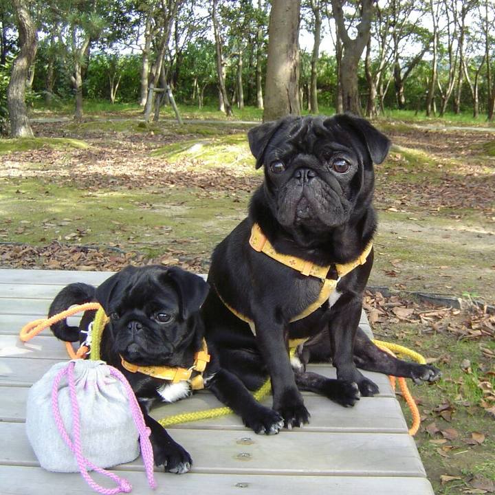 Ca910789 bf5b 4282 bc3d 72990ebeaf00 1521955186964