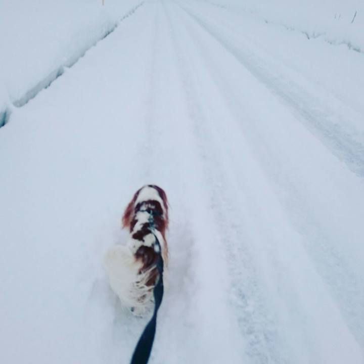 Ca91292e ba39 4249 9b07 7a4afdd99aa1 1550095737298