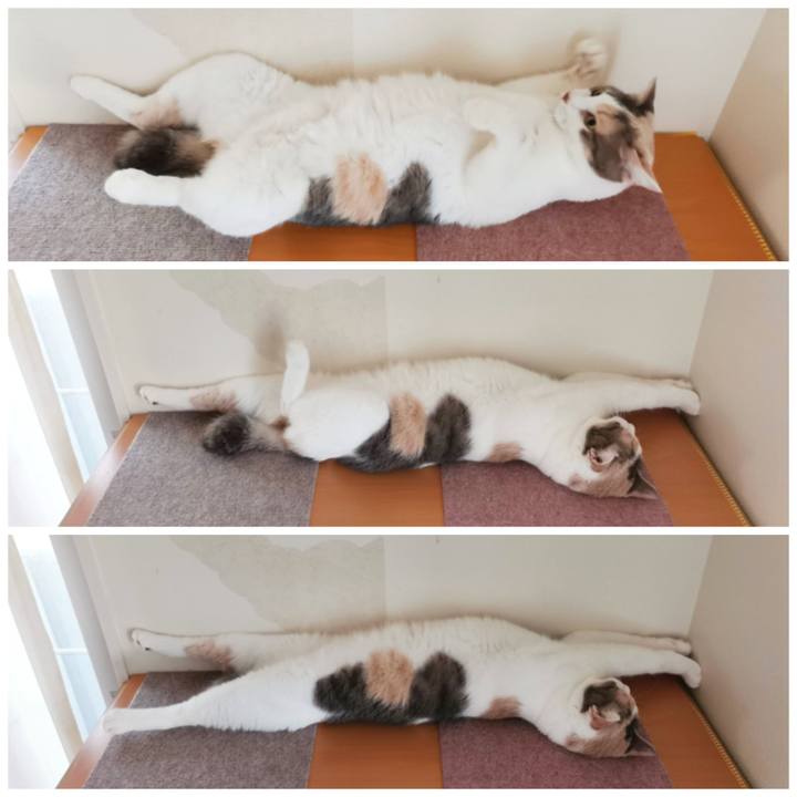 Ca912c42 7cde 4436 a750 0059b3bf4926 1626173523610