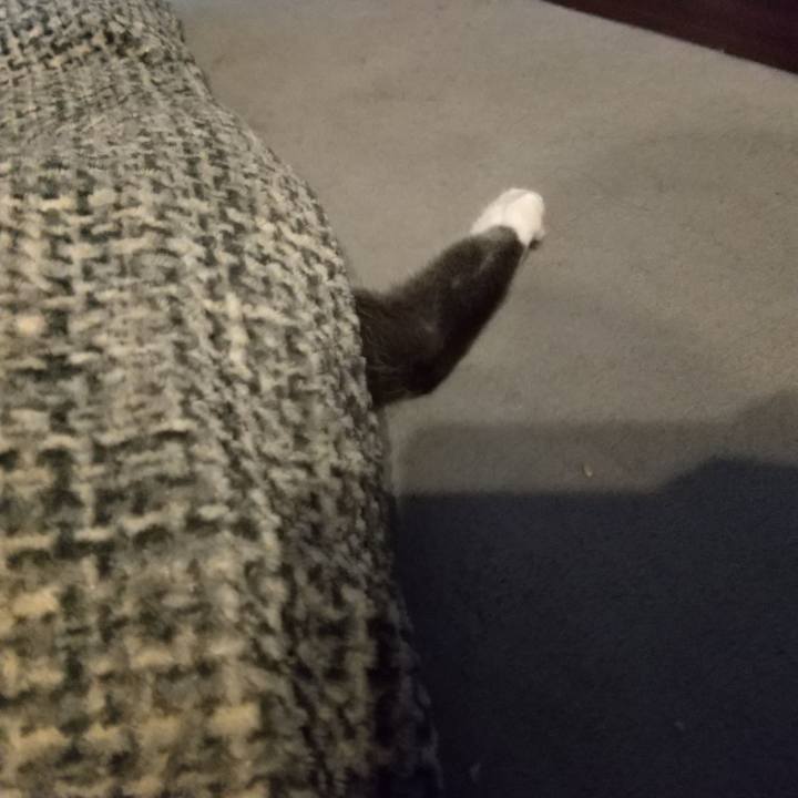 Ca914997 5a11 4012 9b3a 92caea26cd23 1611565326281