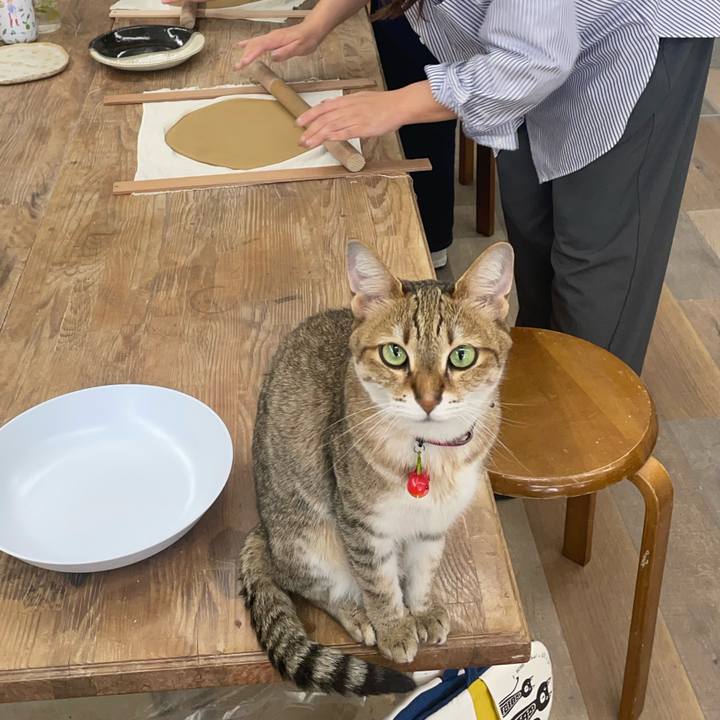 Ca914b7f bac3 48e6 8b8f 9fb0b117b1cf 1751450616363