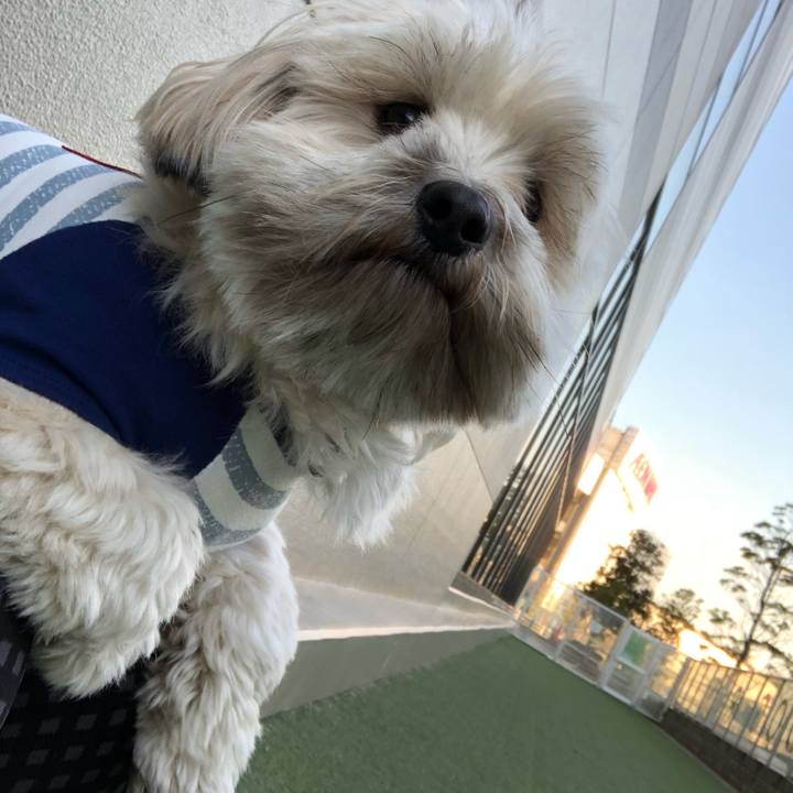 Ca918693 6709 4c47 a48c ad45b9898069 1514290905665