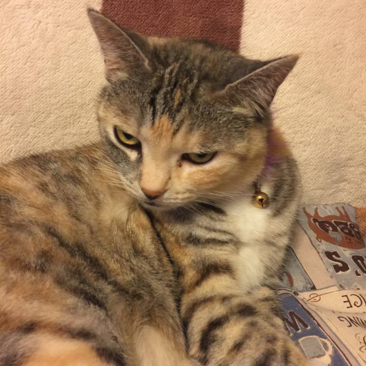 Ca919629 f479 41d3 b907 0ed89cb2e461 1562679372031