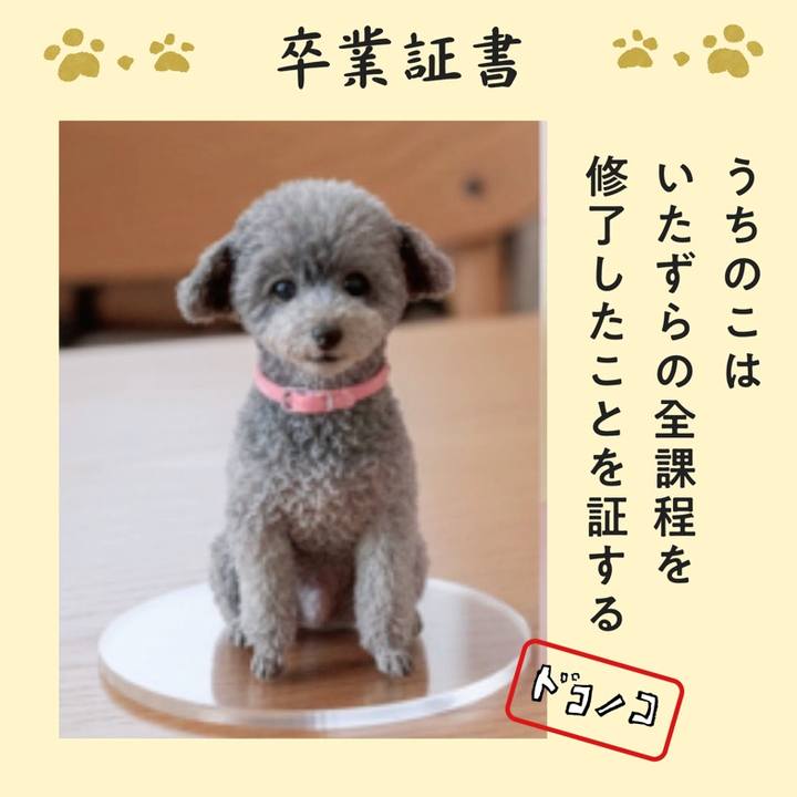 Ca91ad42 848a 43e5 a305 432fba1cf450 1771918783158