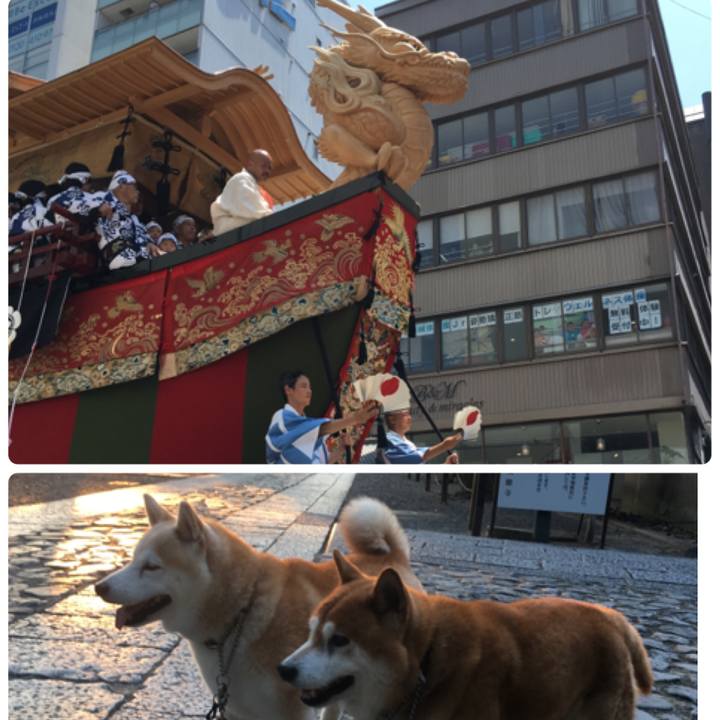 Ca91b25c 7e2c 4f83 a289 644b42e53346 1532467198308