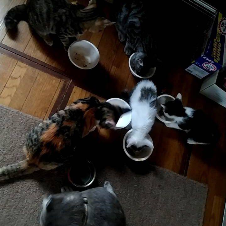 Ca91be72 5810 4541 8645 790742ab2268 1696565298982