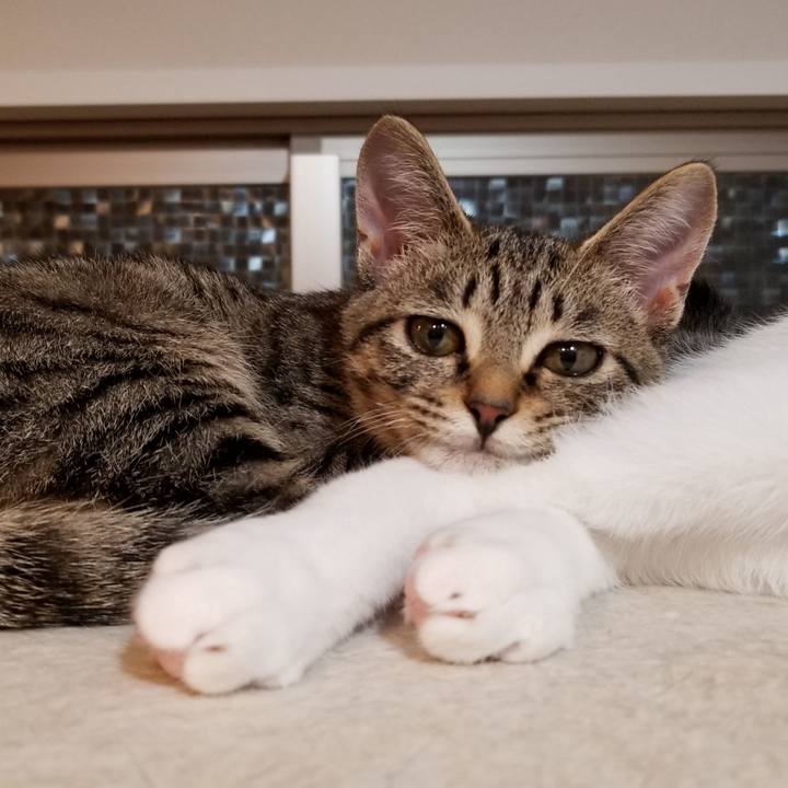 Ca91df99 5ef7 4c16 8548 35e5c7ba5d44 1539779319989