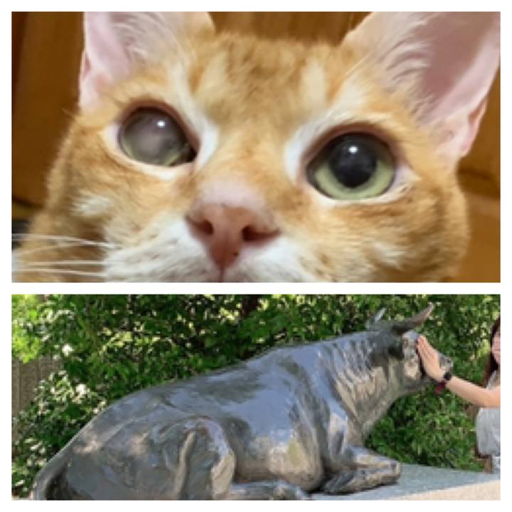 Ca9251b2 4651 4bf0 9869 ca29097267e6 1627817435837