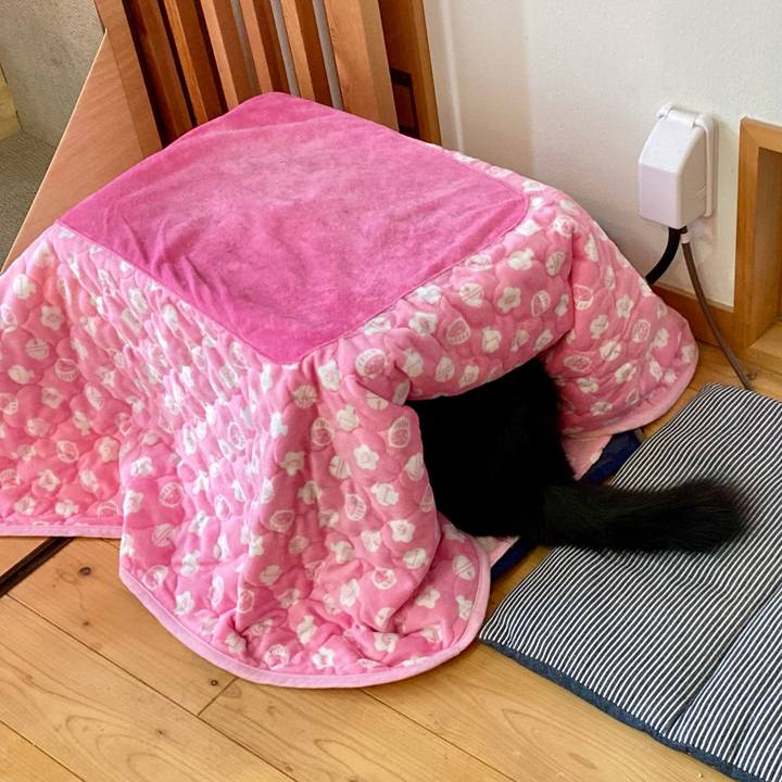 Ca927f6d 04e1 412f bd50 b6bce3329336 1735954123120