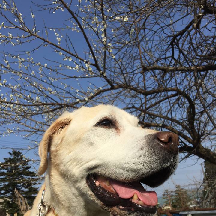 Ca928160 18c3 43cd a044 40ab5653f648 1522740318508