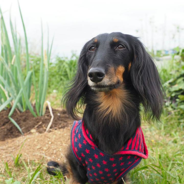 Ca928ef5 1abd 47ef 8582 d09365c8e040 1571278110409