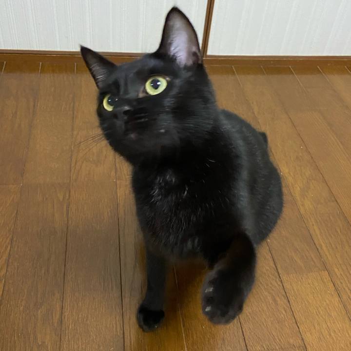 Ca92c096 88e2 4292 a831 1caf92fd359d 1635333597208