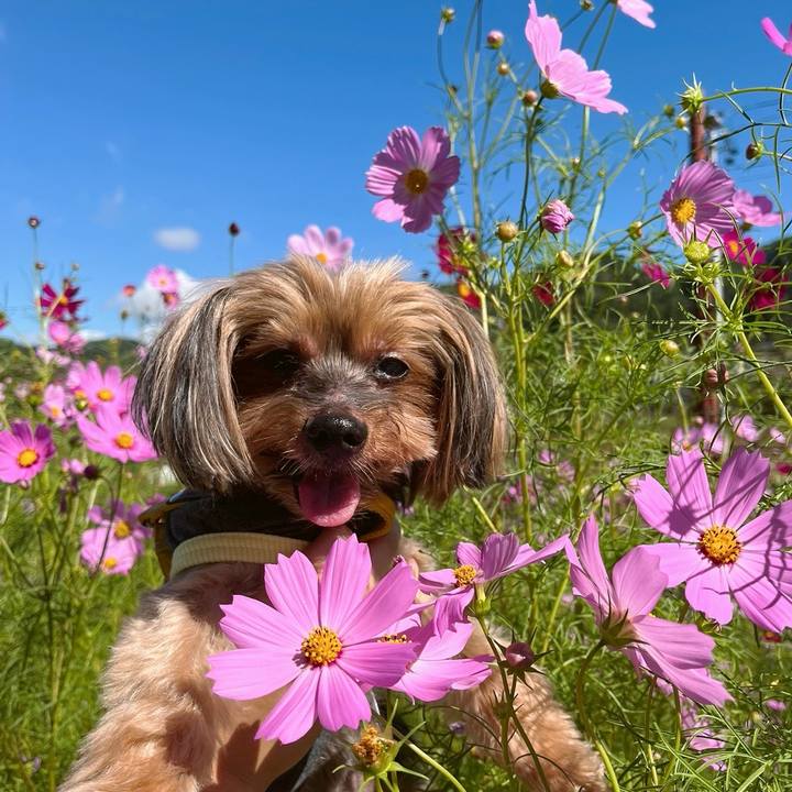 Ca92c143 3914 4836 ada5 f4d4d699e341 1726609085132