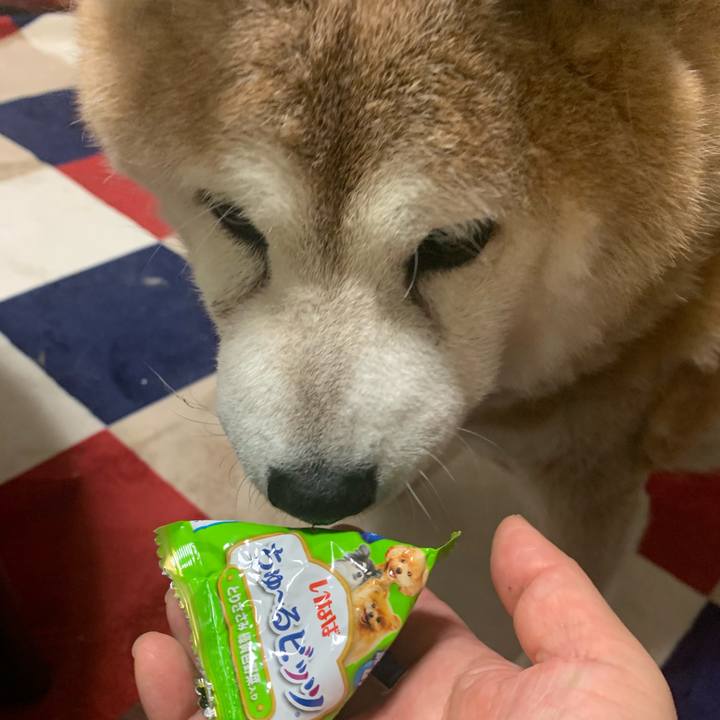 Ca92c73e 9db5 4658 9859 715e7b48a476 1633003297745