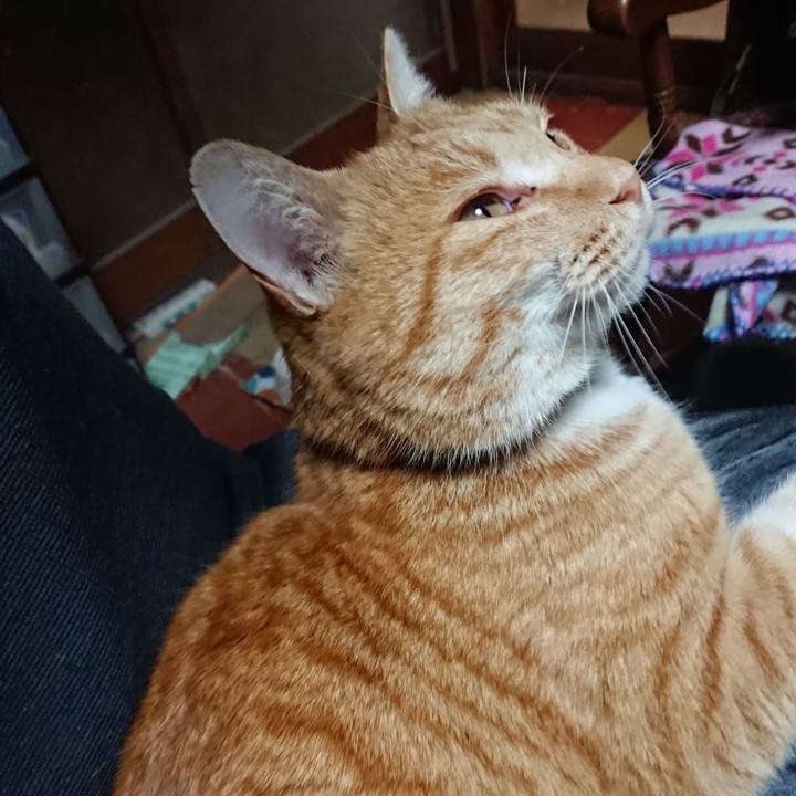 Ca930304 5e66 4039 be8d acc17328d2dd 1576487040760