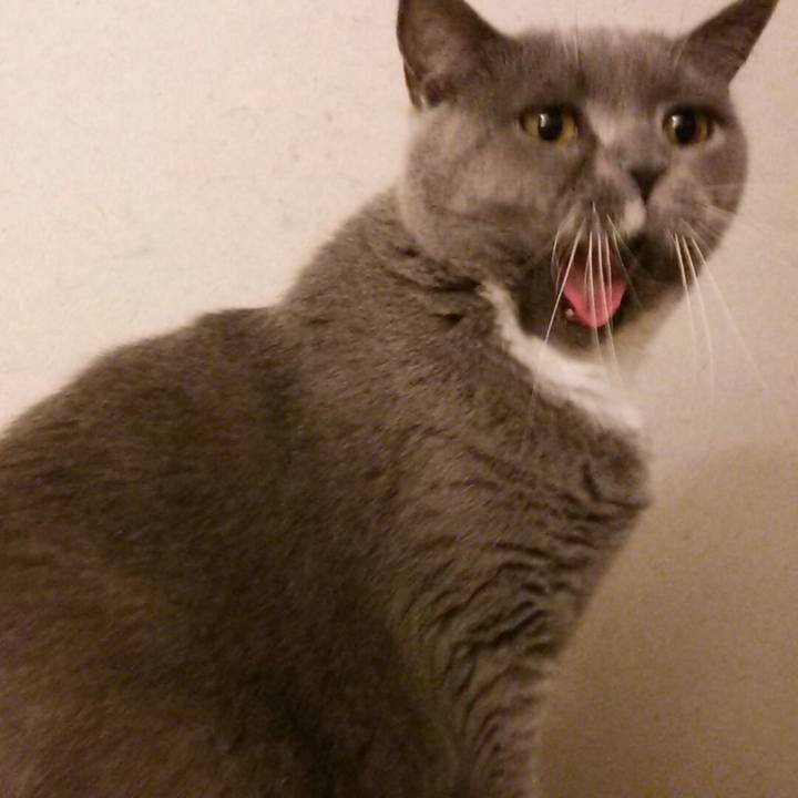 Ca930c2c 72fb 4f72 b9b8 55e3070c30c1 1562501677412