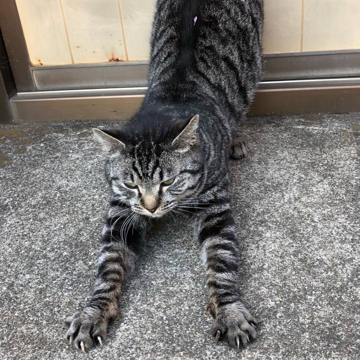 Ca937ac1 4c64 4438 b6ca 644732c6ff28 1521281786462