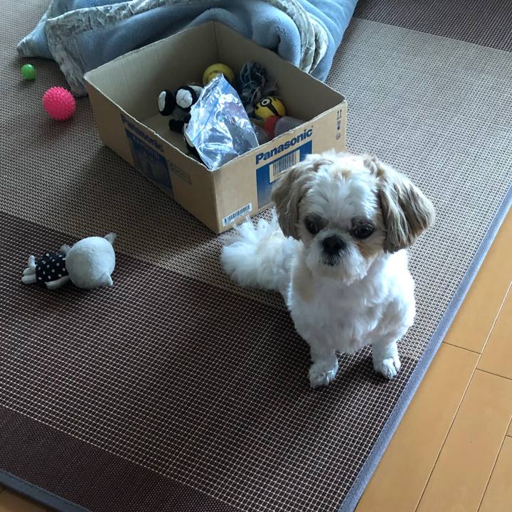 Ca938163 eef4 4496 8aee 606c58a4ee67 1530221972267