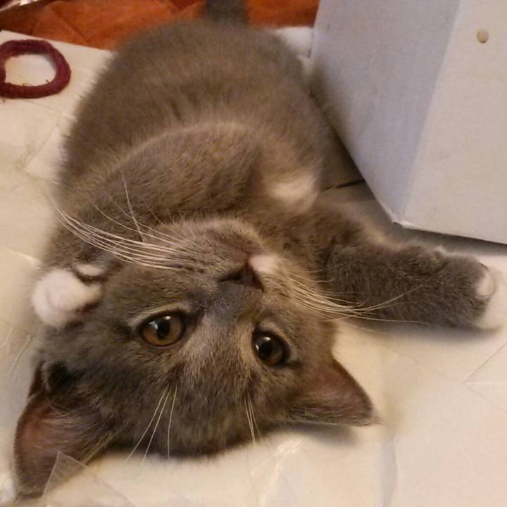 Ca938ea2 6bea 480f a7da 51dd8a43b6dd 1530939954276