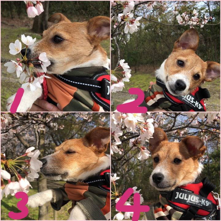 Ca9393a5 4314 48cb 8c4a 7a14e82d0565 1554295591299