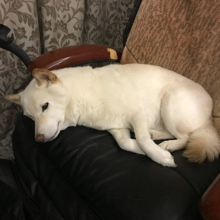 Ca93b3a3 43ed 4885 baf0 24eeea41cba7 1634202677785