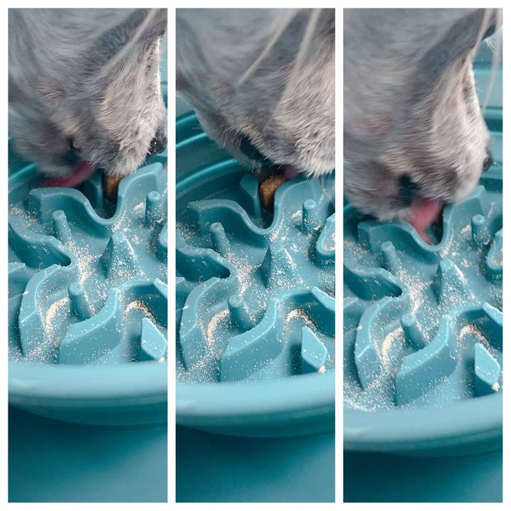 Ca93cea6 a448 4c7d a16c d7e151591d03 1780644692080
