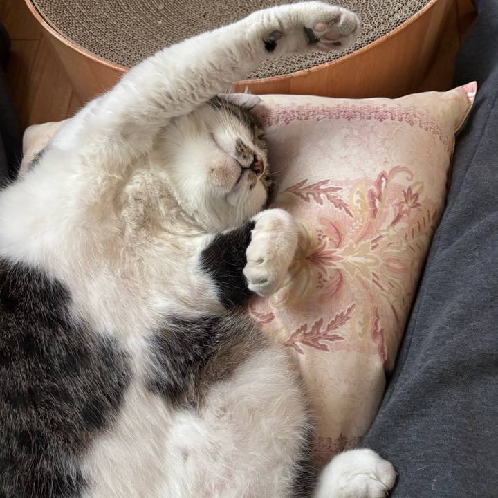 Ca93ef27 7a9d 4455 93c6 de5930af3dac 1763973232480