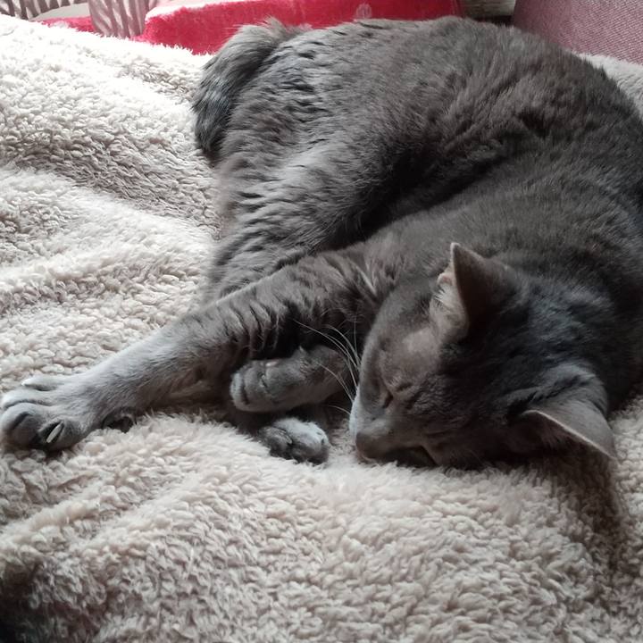 Ca94351c 57d6 49b0 a32b 8dca95b49d8d 1683418909036