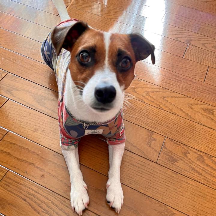 Ca944cc7 7e7d 4435 a90d a26cf9d997a1 1633648763224